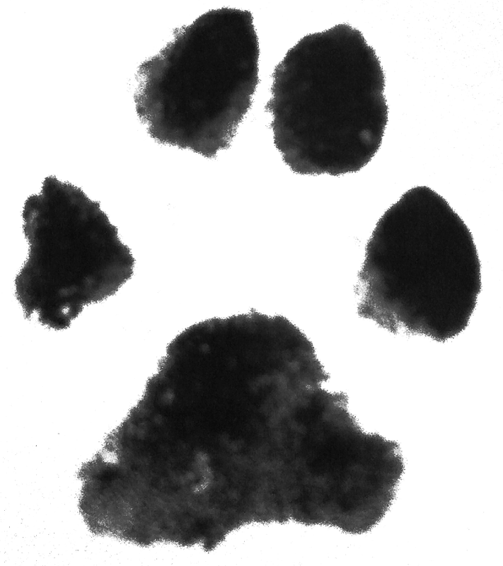 Paw Print